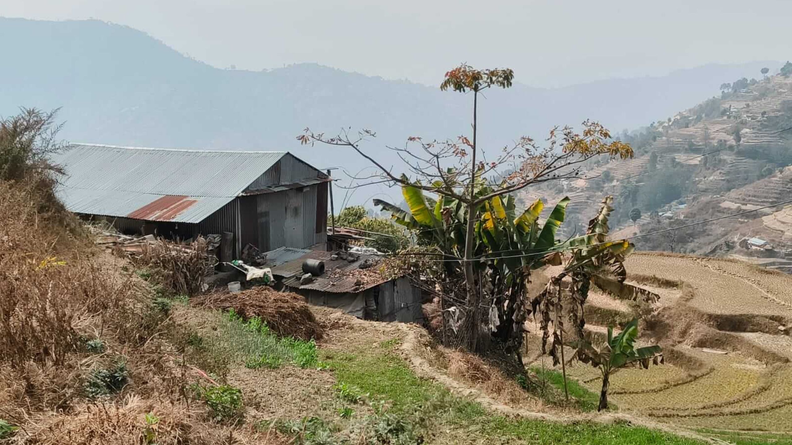 Bild: Wellblechhütte in Panchase - Nuwakot 